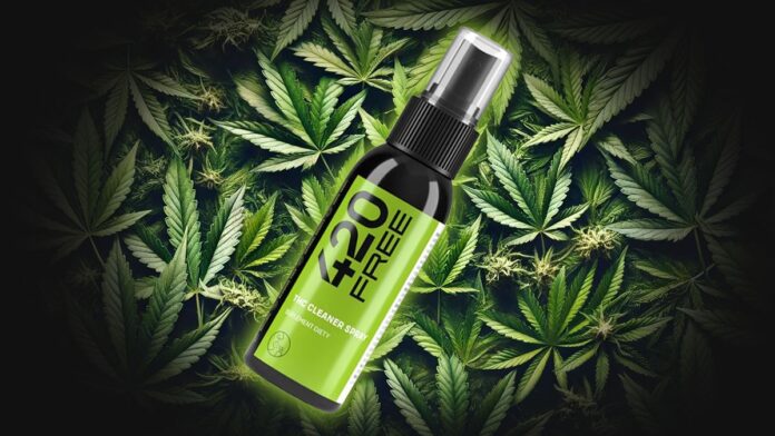 Obraz przedstawiający produkt 420Free THC Cleaner Spray na tle liści konopi. Czarna butelka z zieloną etykietą, zaprojektowana do neutralizacji THC w ślinie, idealna dla użytkowników medycznej marihuany