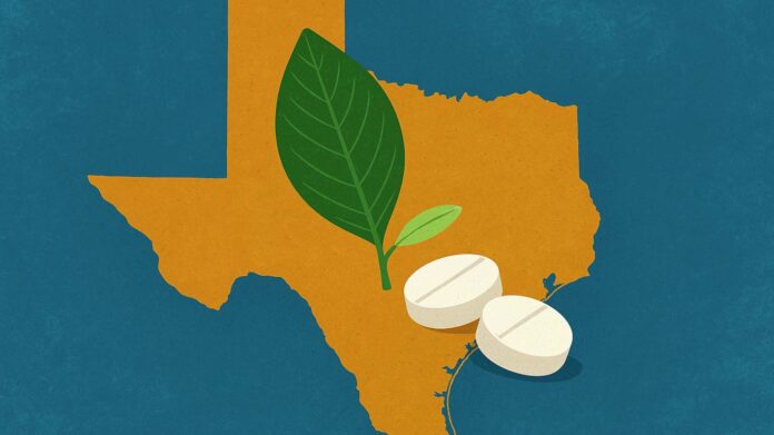 Mapa Teksasu z liściem rośliny psychoaktywnej i tabletkami, symbolizująca inwestycję stanu w badania nad ibogainą jako terapią uzależnień