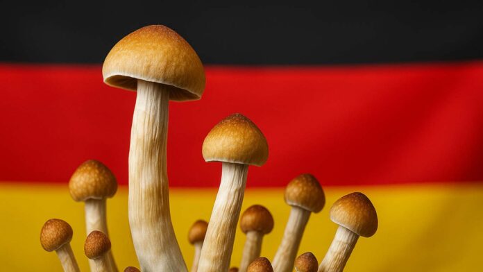 Psylocybinowe grzyby na tle flagi Niemiec – symbol przełomu w leczeniu depresji za pomocą psychodelików.