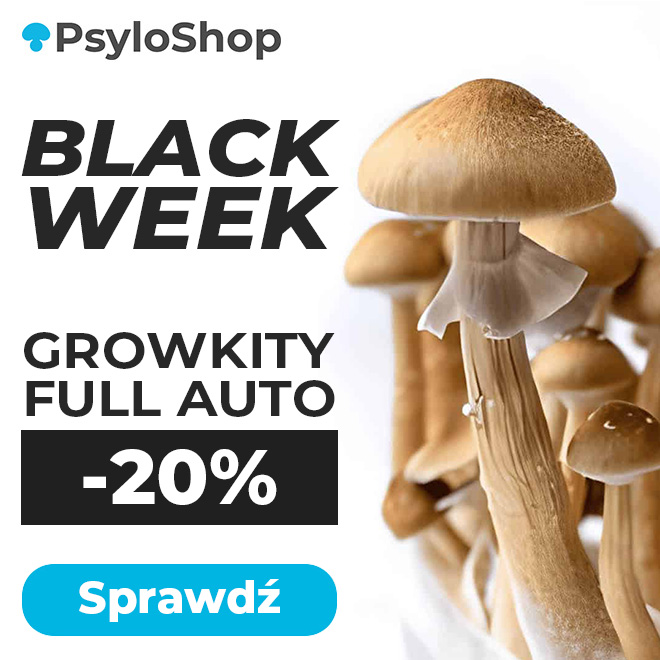 baner sklepu PsyloShop.pl, który sprzedaje growkity grzybów psylocybinowych. Na obrazku widać logo PsyloShop, napis BEZOBSŁUGOWE GROWKITY GRZYBÓW PSYLOCYBINOWYCH oraz ilustrację przedstawiającą grzyby psylocybinowe